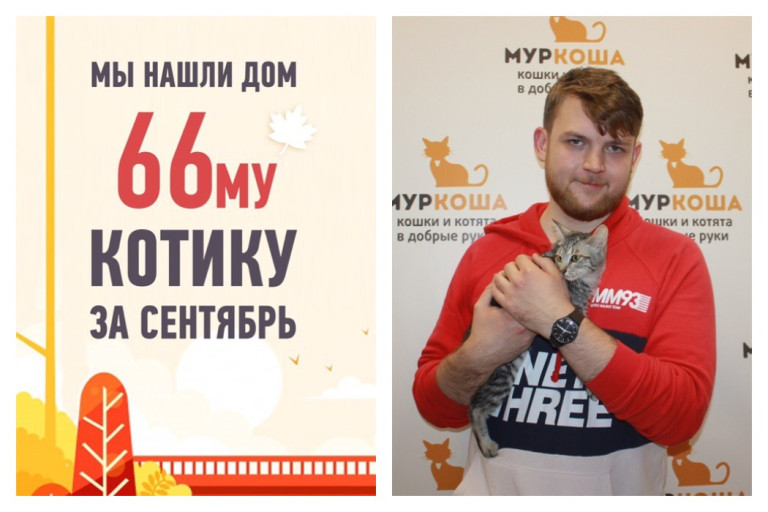 котенок Перчик встретил надежного друга!
