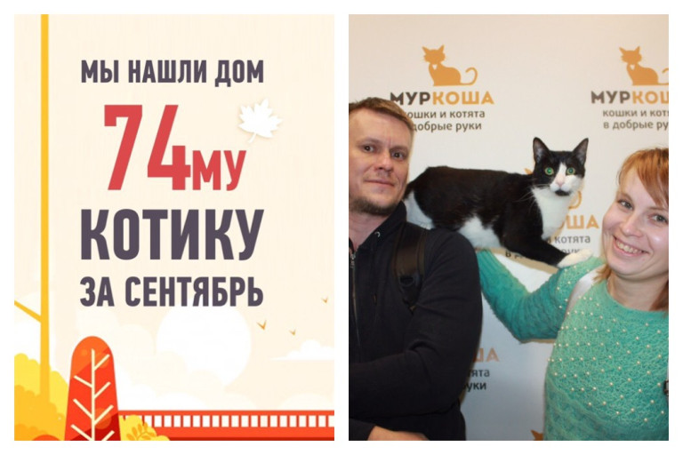 Своя семья появилась и у кота Казантипа!
