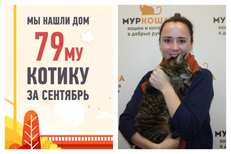 Домой за два месяца? Легко! Инструкция от Санчо.