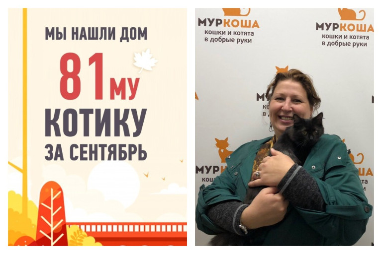 Всего за два месяца мы нашли Пикассо дом