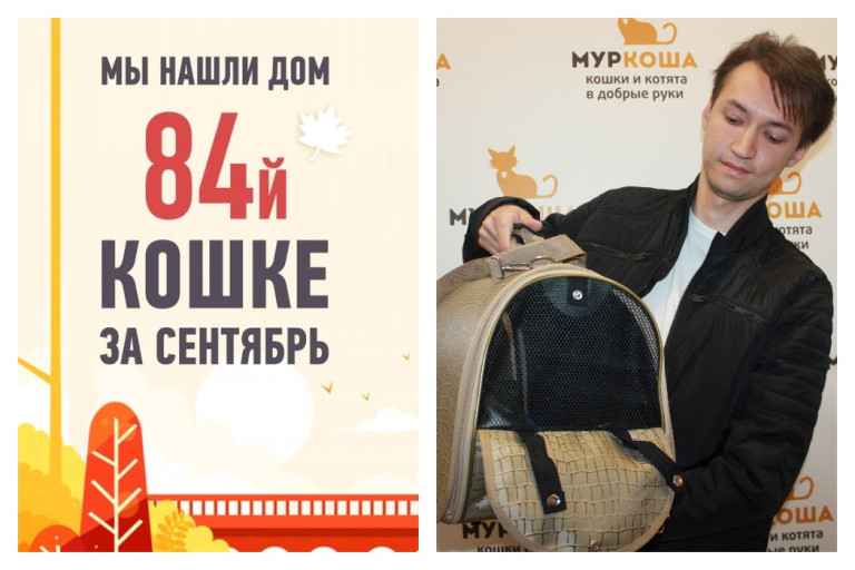 У кошки Гали, появился настоящий друг!