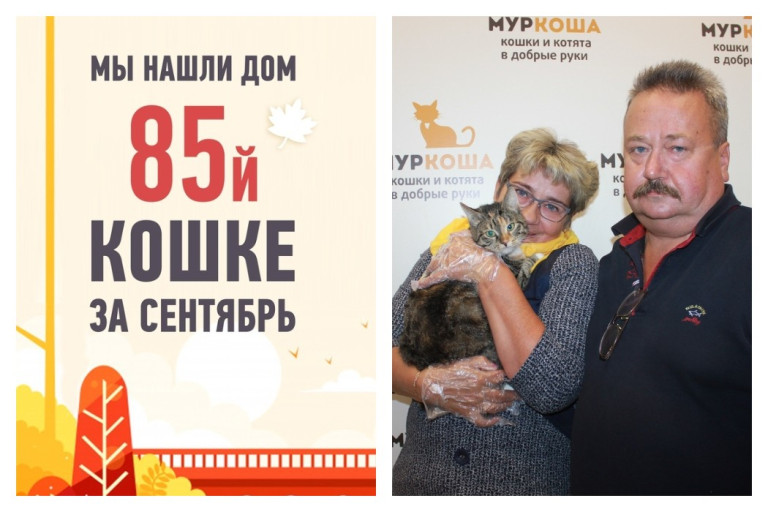 Кошка Мяуля отмечает новоселье!