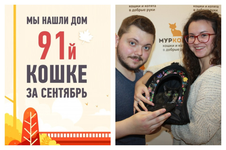 91 выпускницей приюта в сентябре становится кошка Скитлс!