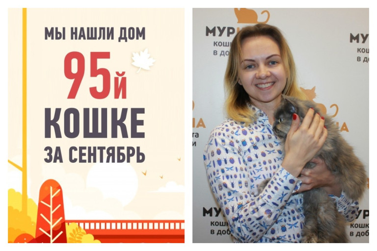 Двухлетняя кошка Маюми стала домашней любимицей!