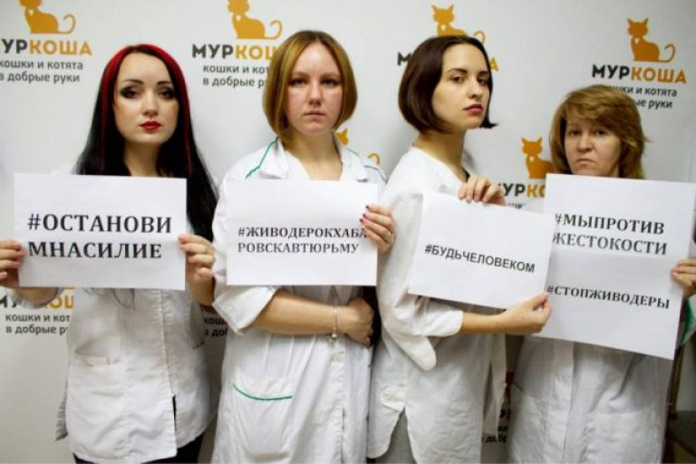 Живодерок Хабаровска – в тюрьму