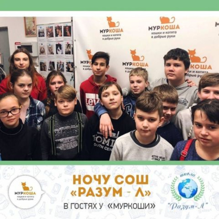 Благотворительная акция в приюте "Муркоша"