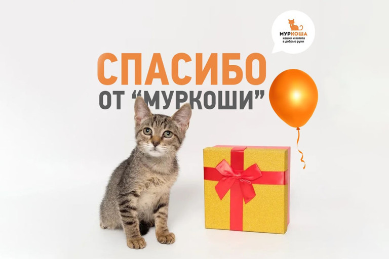 Люди, которые на собственном примере показали, что добро может делать каждый! (27 января)