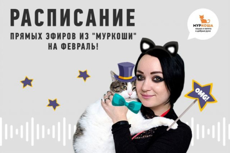 Расписание февральских прямых эфиров!