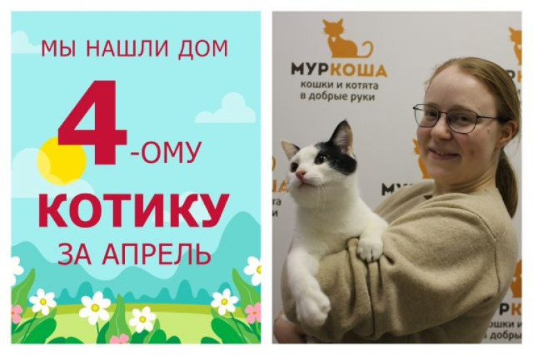 Милый котик Валио стал домашним любимцем!