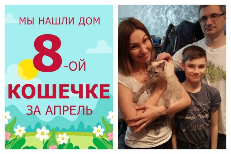 Двухлетняя кошечка Валента отправилась в новый дом!