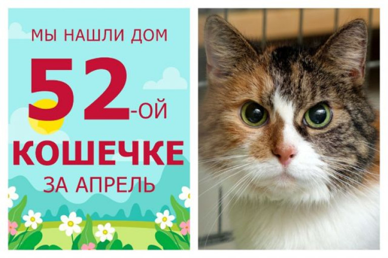 Десятилетняя Дольчевита получила второй шанс на счастье!