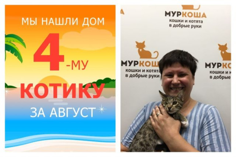 Очаровательный котик Башмачок теперь домашний и любимый!