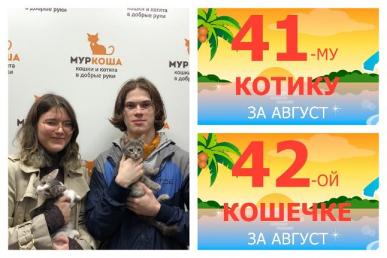 Крошки Ежевичка и Чижик уезжают в новый дом вместе!