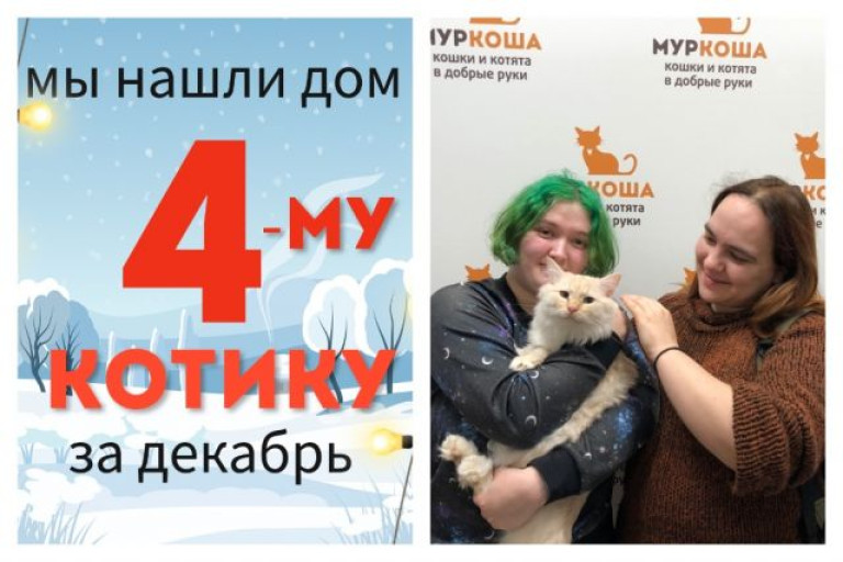 Милый Нольд уезжает в новый дом!