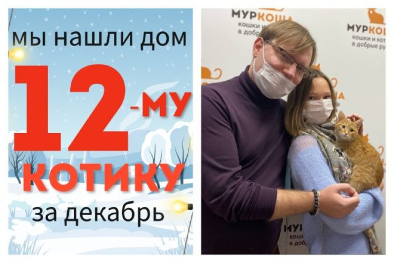 Милый котёнок Ивашка встретил свою семью!