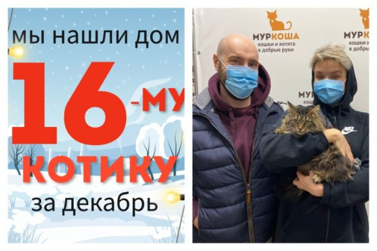 Годовалый кот Петенька обрёл дом и семью!