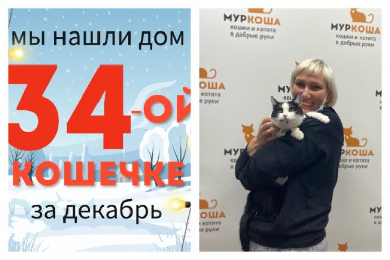 Кошечка Брики обрела домашнее счастье!