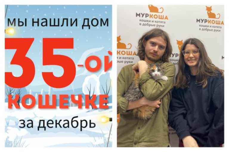 Кошечка Сарбона встретила хозяев за один месяц!