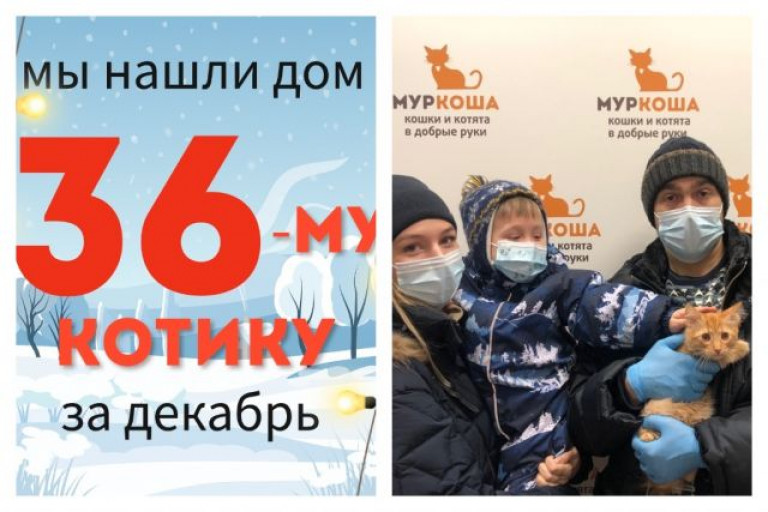 Котёнок Желточек стал частью прекрасной семьи!