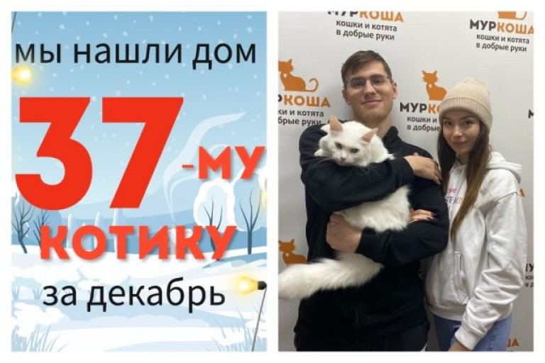 Котик Дусик встретил надежных хозяев!