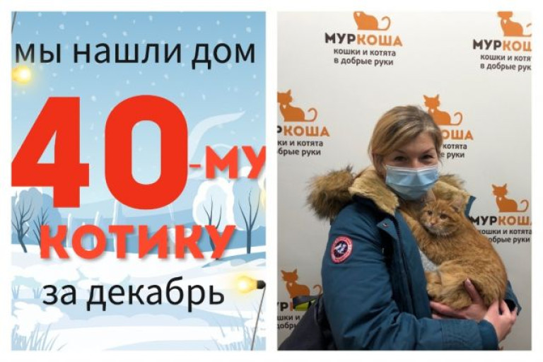 Котик Ролекс встретил заботливую хозяйку!