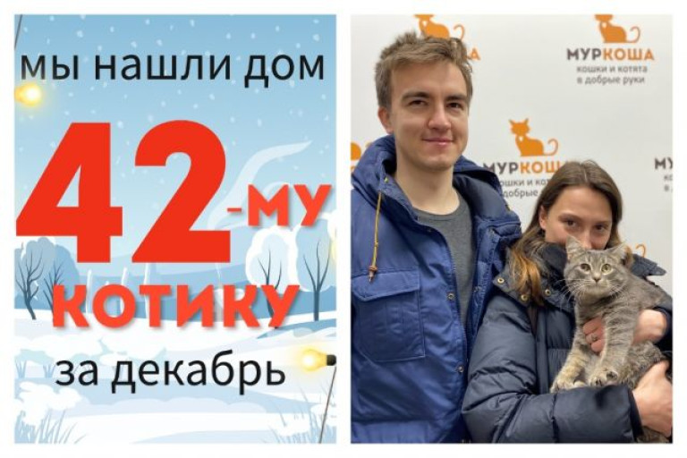 Милый Поцелуйчик теперь домашний котик!