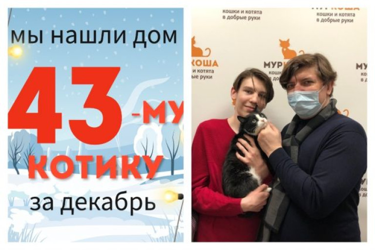 Котик Шубейкин начинает новую жизнь!