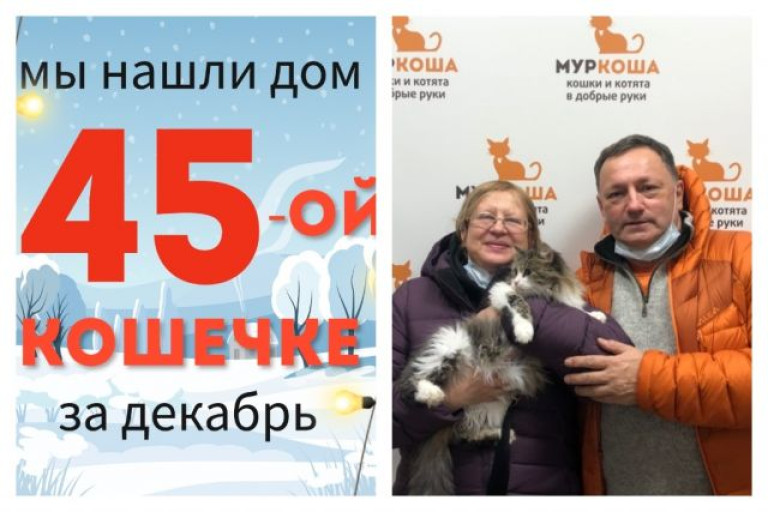 У роскошной кошечки Капы появились дом и семья!