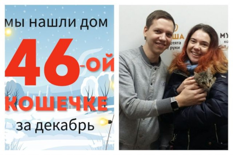 Кошечка Кофточка начинает новую счастливую жизнь!