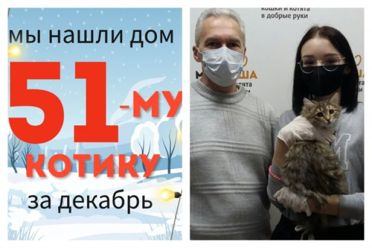 Малыш Ромул теперь стал домашним котиком!