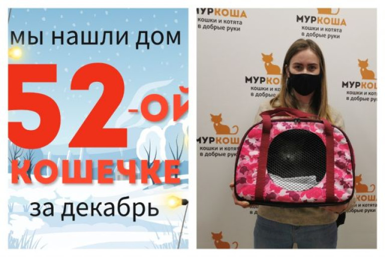 Малышка Ккори теперь домашняя любимица!