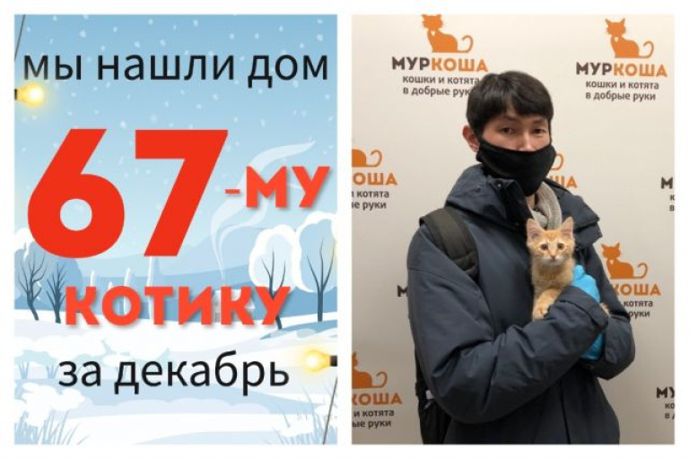Малыш Пазл встретит свой первый Новый Год дома!