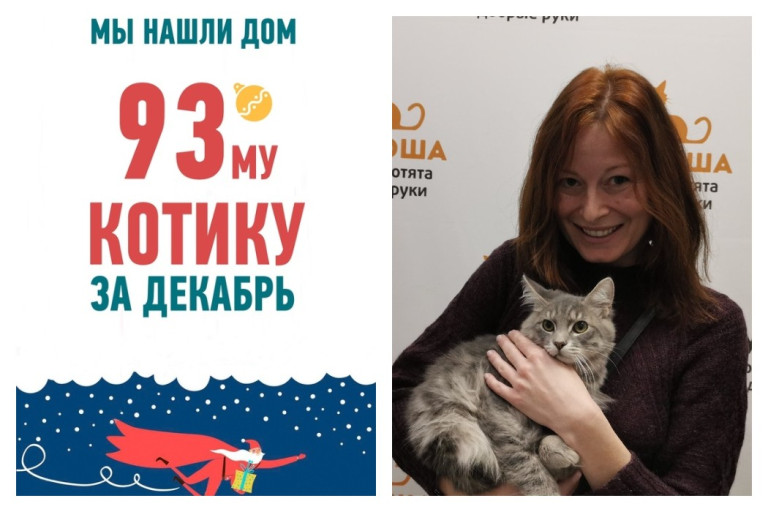 Ларго, спасенный из закрытого ящика, стал домашним!