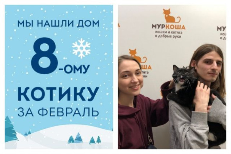 Девятимесячный котик Епифан рад познакомить вас со своими хозяевами!