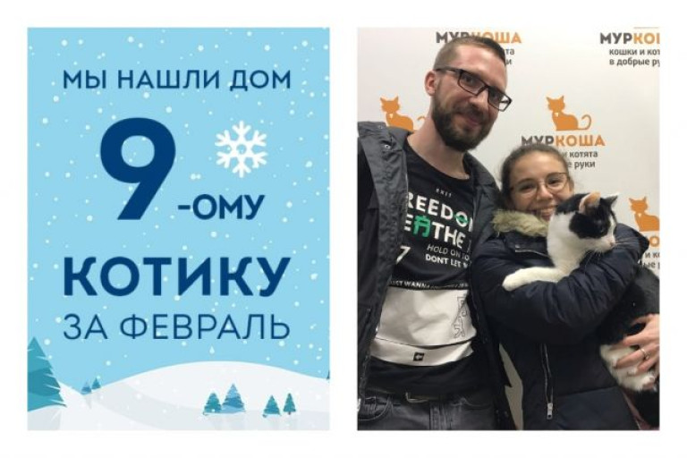 Двухлетний котик Фрил стал домашним, ура!