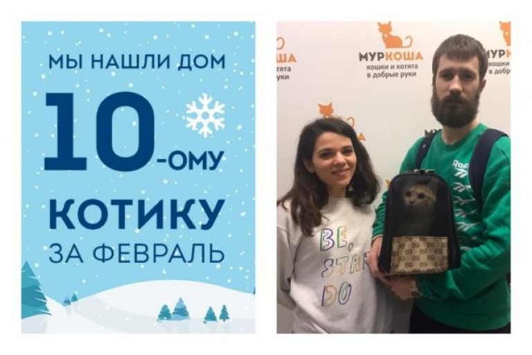Уютный дом и хозяева появились у котика Чепчика!