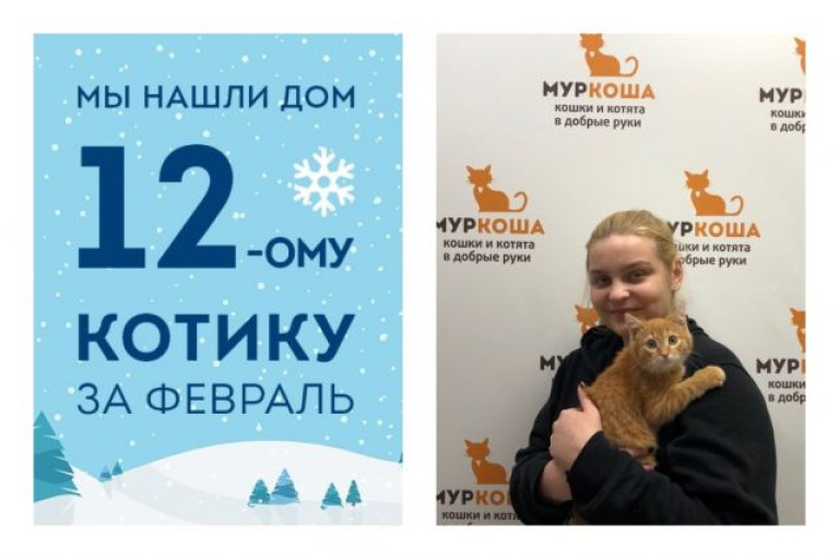 Котик Ролло поймал удачу за хвост!
