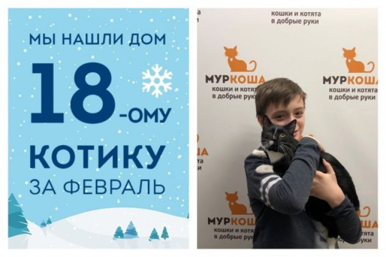 Отправляется домой восьмимесячный котенок Руан!