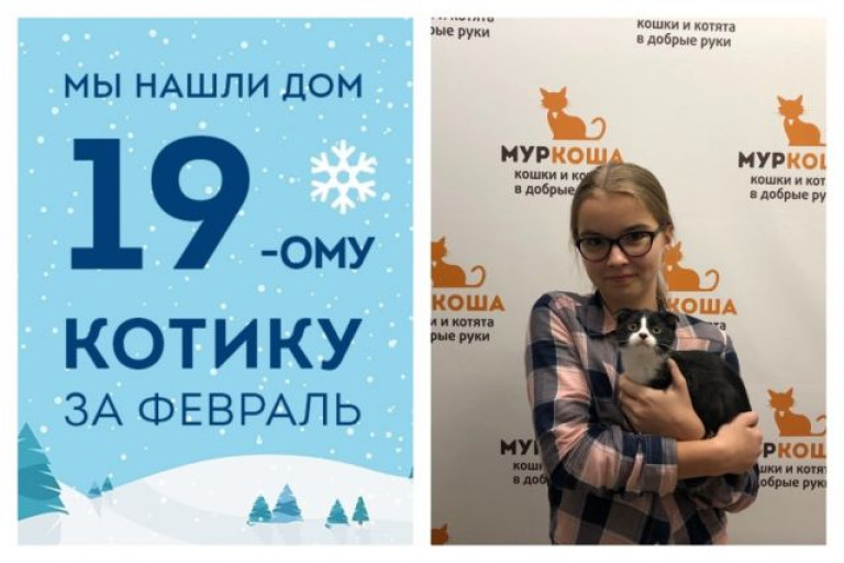 Всего за месяц мы помогли котенку Кирюше снова стать домашним!