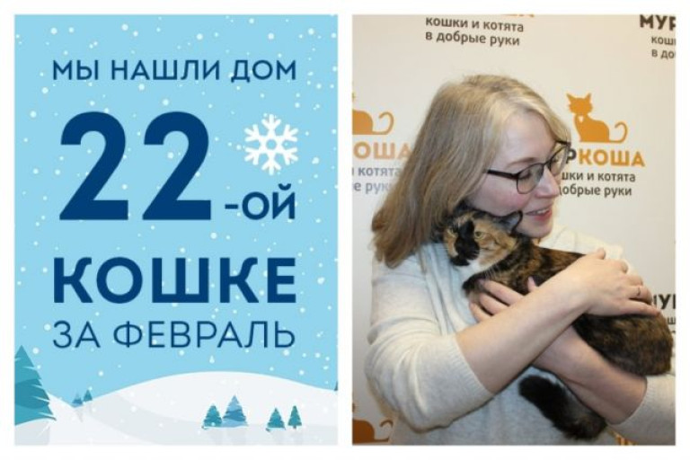 У кошечки Джелы появилась хозяйка!