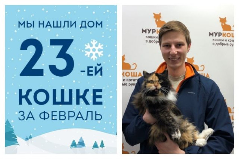 Kошка Фида стала домашней любимицей!