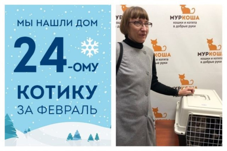 Кот Тайгер стал домашним всего за два месяца!