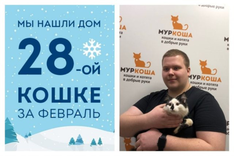Мы нашли суперхозяина для семимесячной кошечки Лемурии!