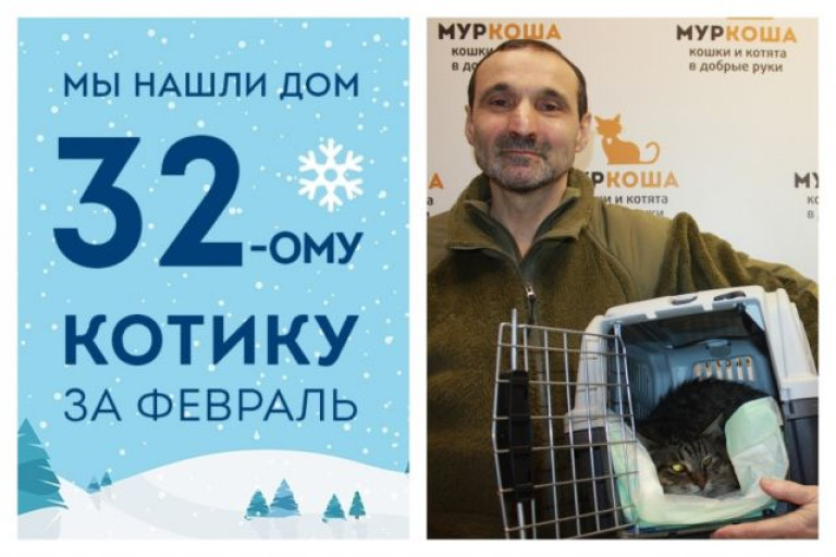 Сегодня у Сверчка начинается новая жизнь!
