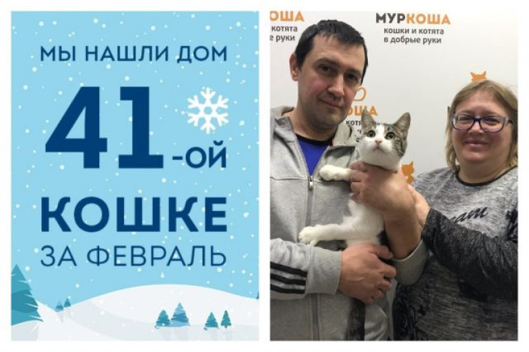 Мы помогли кошке Несси сменить уличную жизнь на уютный дом!