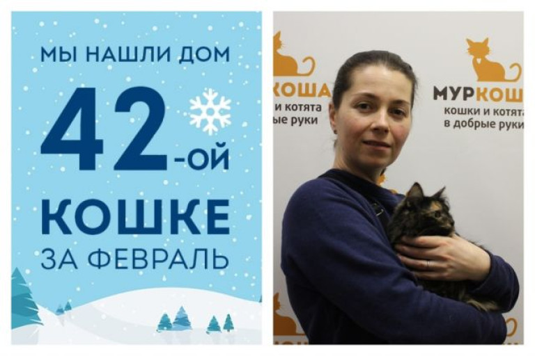 У кошки Шельды появилась любящая хозяйка!