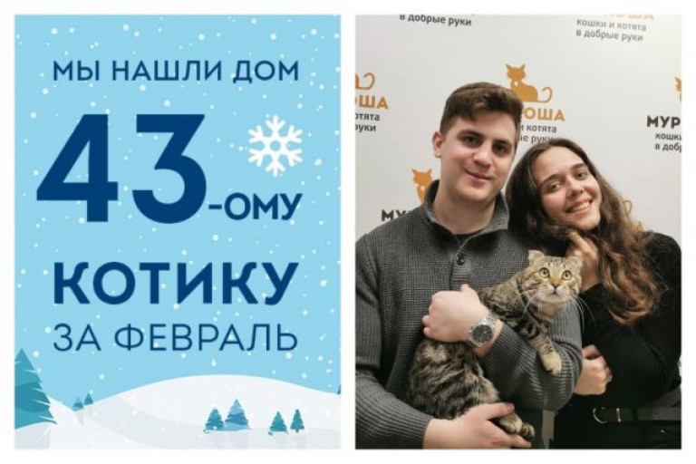 Всего за неделю в приюте нашел своих хозяев котик Князь!