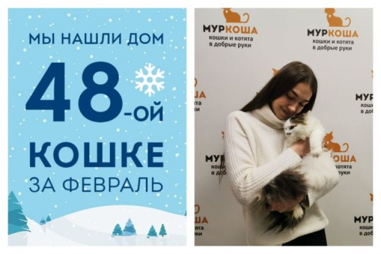 Кошечка Миядзаки рада познакомить вас со своей хозяйкой!