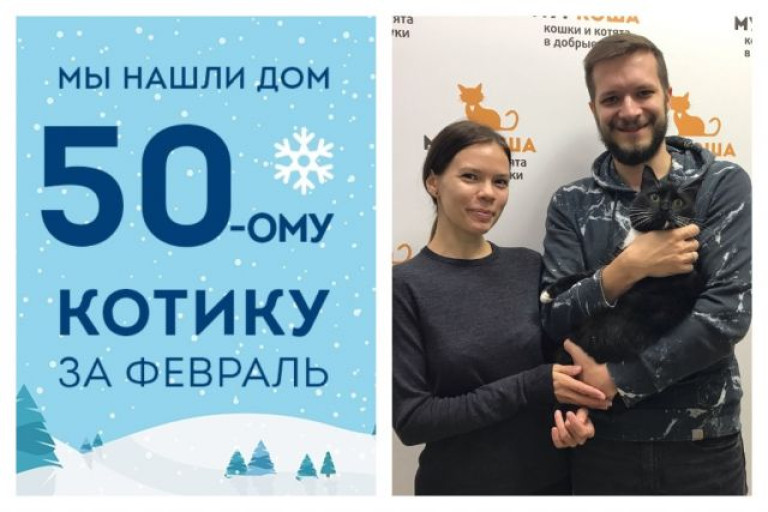 Кот Мексиканец стал домашним любимцем!