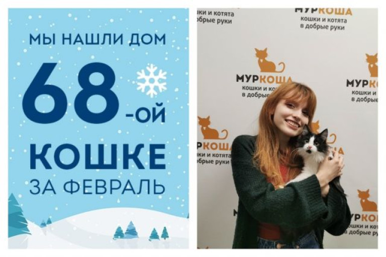 Кошечка Альпина стала домашней любимицей!